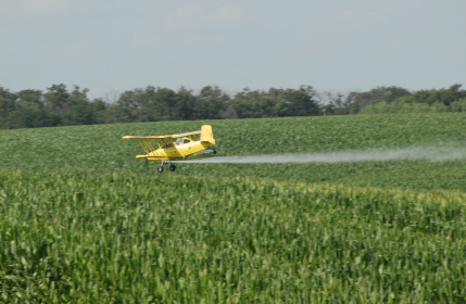 Pesky Pesticides