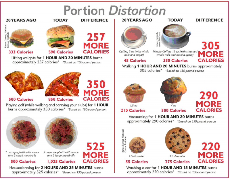 Food Portions: The #1 Factor That Makes You Fat