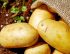 Fried Potatoes Linked To Early Death?