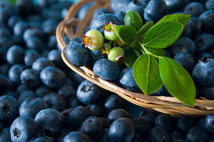 Are You Eating Fake Blueberries?