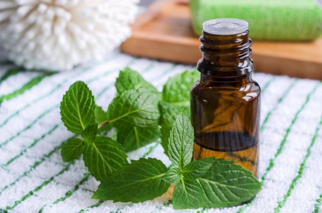 Peppermint Oil – 18 Amazing Uses & Benefits