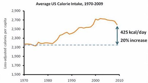 calorie-intake-in-usa