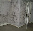 Is Toxic Mold Secretly Growing In Your Home?