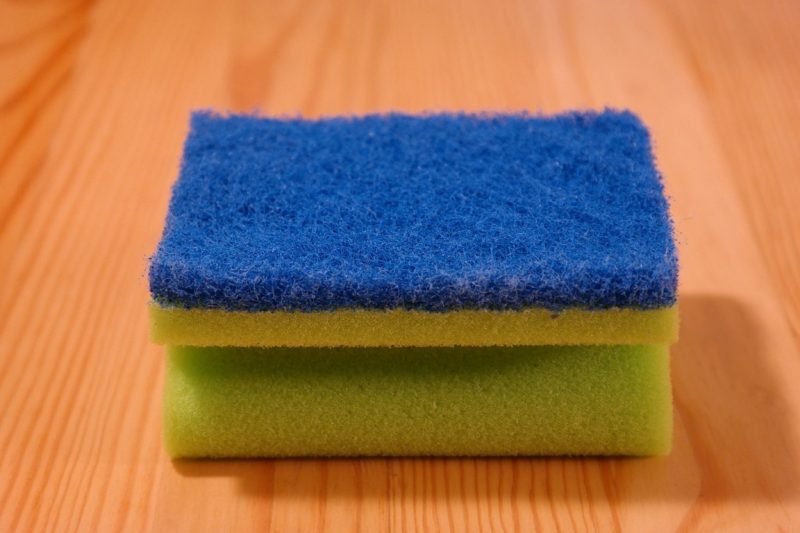 How Dirty is Your Kitchen Sponge?