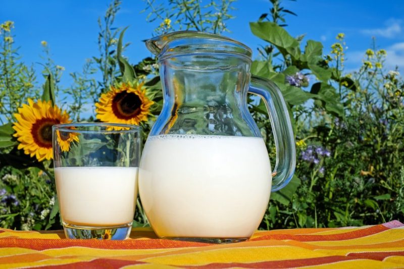 Is Your Organic Milk Really Organic?
